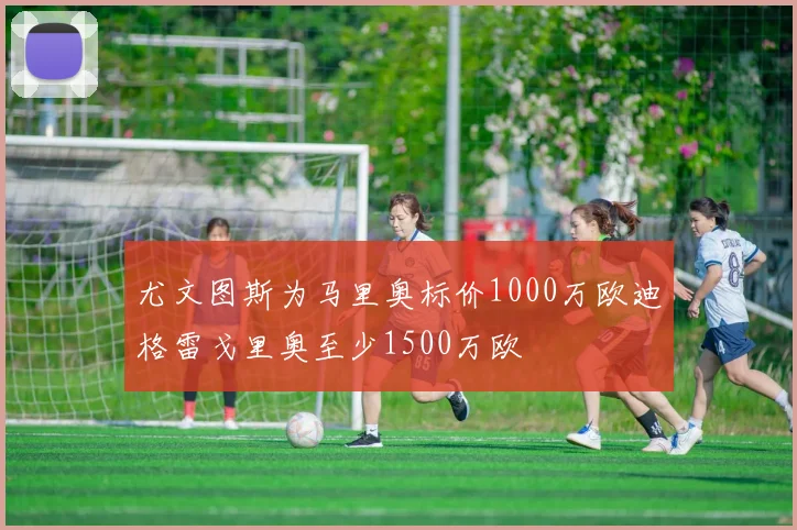 尤文图斯为马里奥标价1000万欧迪格雷戈里奥至少1500万欧