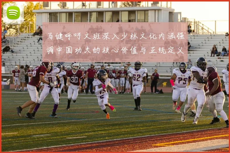 马健呼吁文班深入少林文化内涵强调中国功夫的核心价值与正统定义