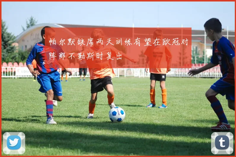 帕尔默缺席两天训练有望在欧冠对阵那不勒斯时复出